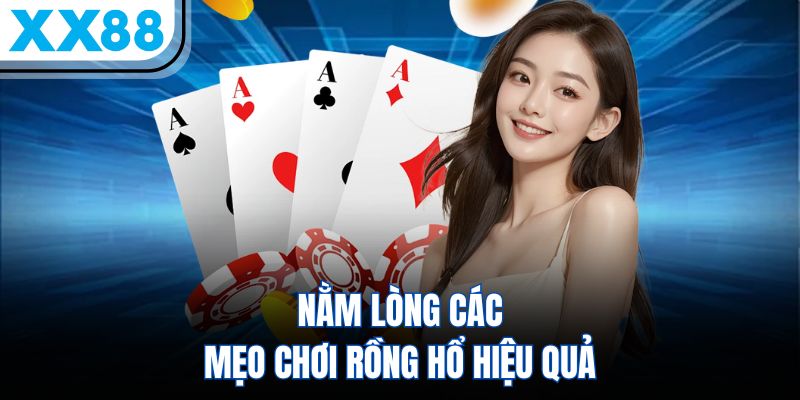 Mẹo Chơi Rồng Hổ Giúp Hội Viên Tăng 80% Cơ Hội Chiến Thắng 1 Nằm lòng các mẹo chơi Rồng Hổ hiệu quả
